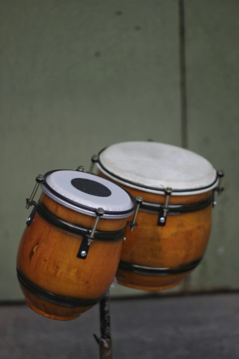 Conga drums